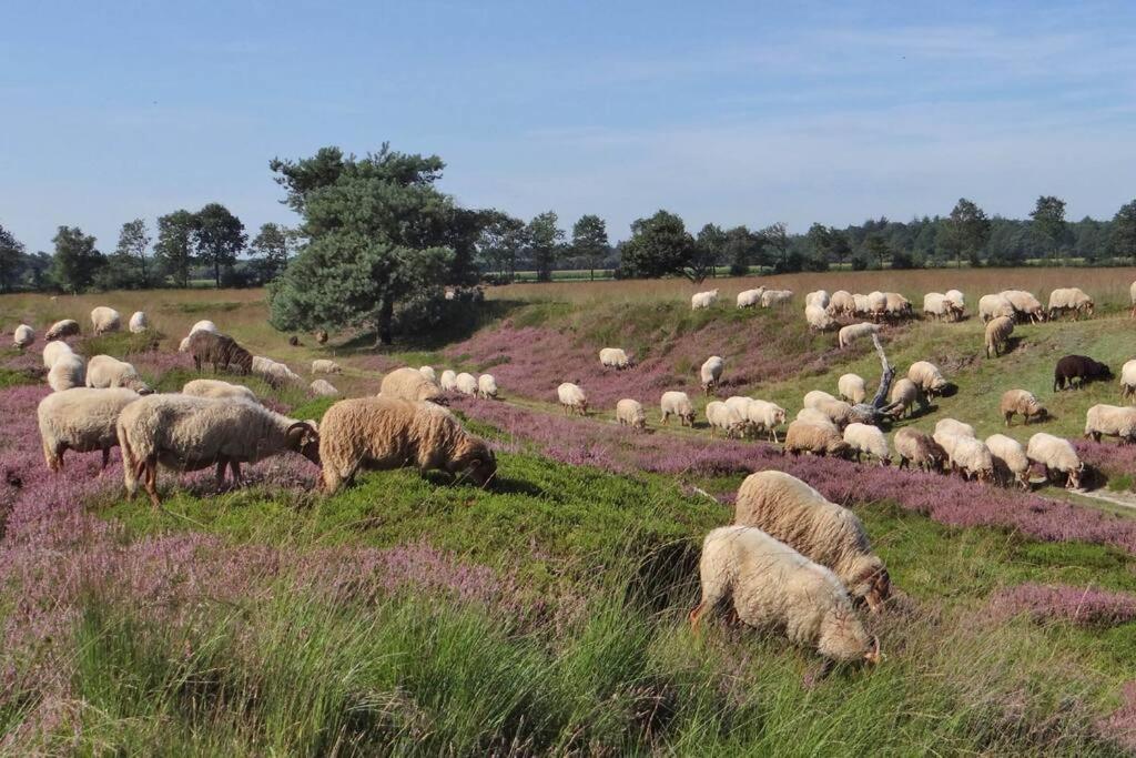 فيلا Bakkeveenفي 4-6 Persoons Vakantiewoning Met Eigen Tuin المظهر الخارجي الصورة